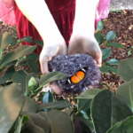 Amethyst Healing Crystal Benefits and Uses