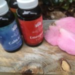 Flower essences, what are they, benefits and how to use them